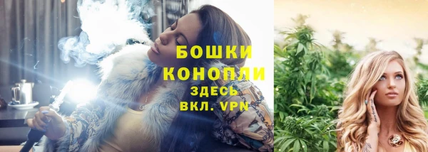 дурь Алексеевка
