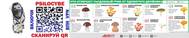 что такое   Кызыл  Галлюциногенные грибы Psilocybine cubensis 