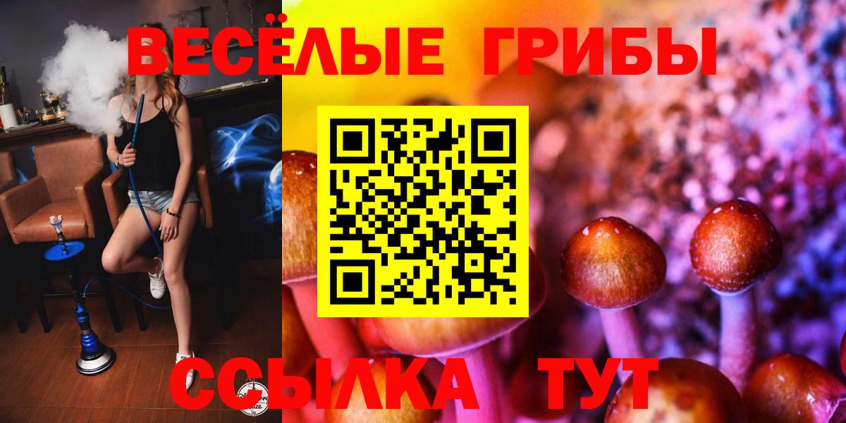 Псилоцибиновые грибы прущие грибы  Вход с VPN  Псилоцибиновые грибы Psilocybe  Кызыл 