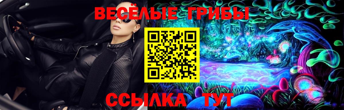 Галлюциногенные грибы Psilocybine cubensis Кызыл