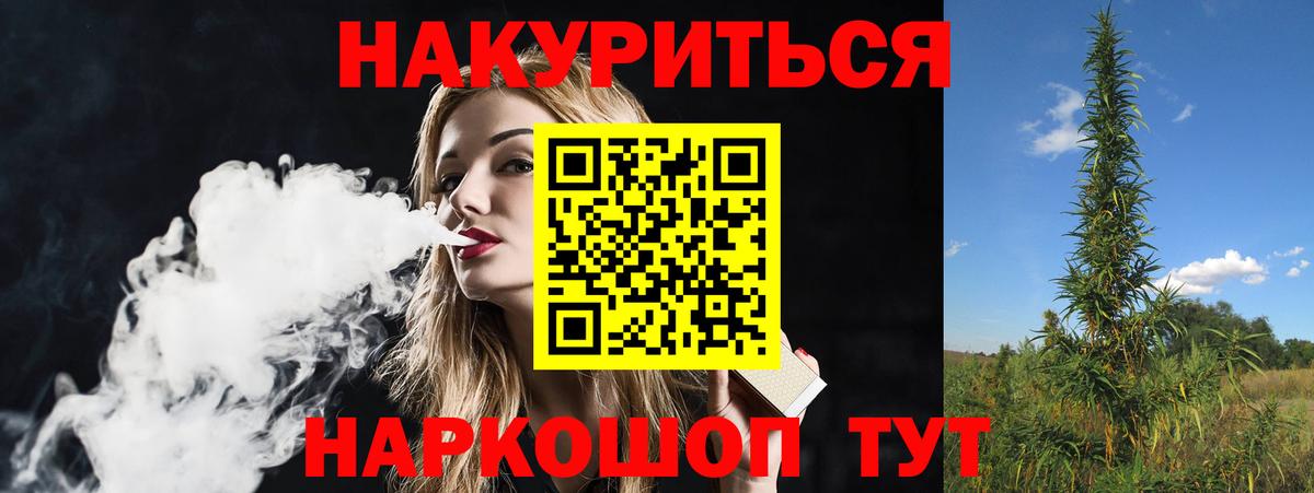 Бошки Шишки планчик Кызыл
