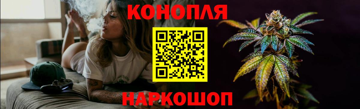 Кызыл  Шишки марихуана планчик  Шишки марихуана план  Шишки марихуана конопля  Вход с VPN 